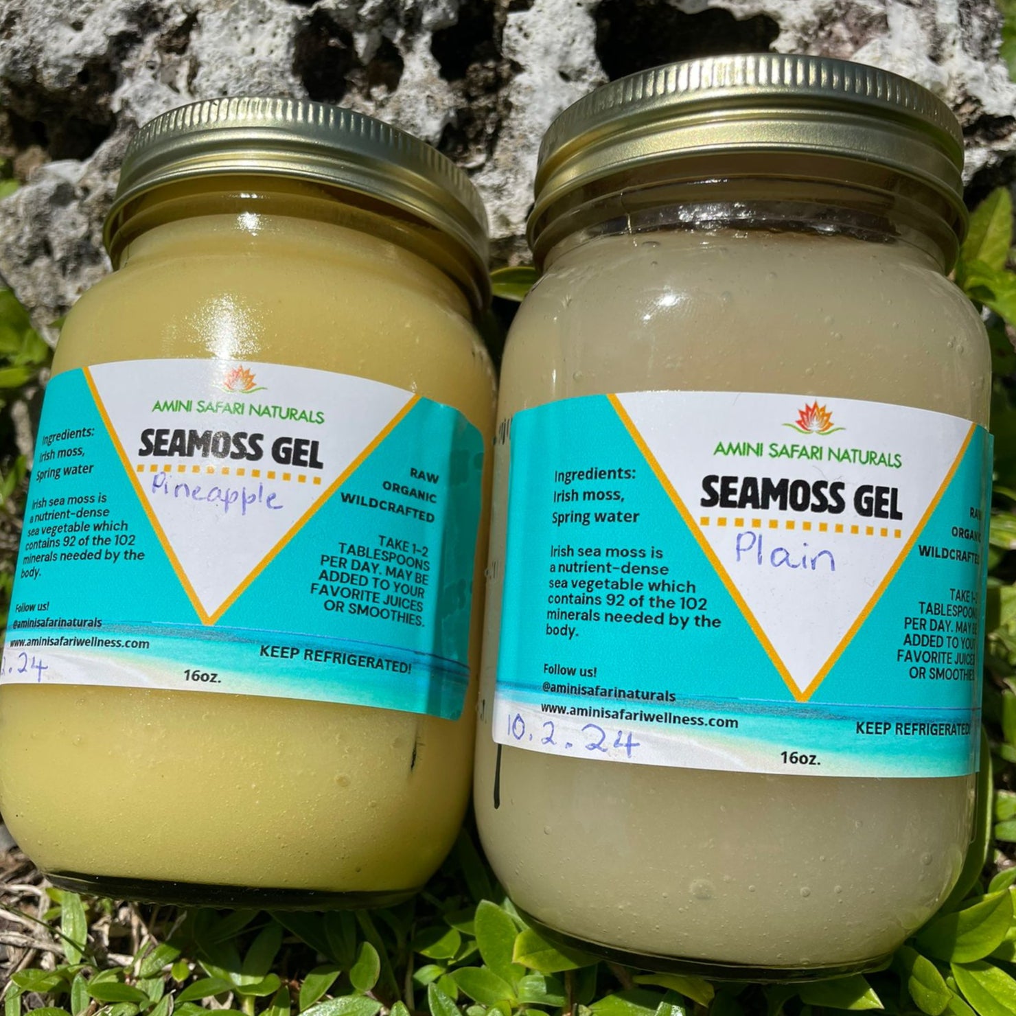 Raw Seamoss Gel – Amini Safari Wellness